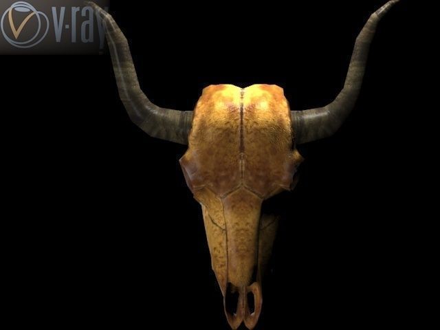 Cow Skull Low-poly 3D model_11