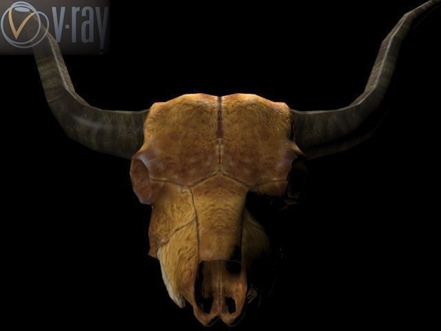 Cow Skull Low-poly 3D model_6
