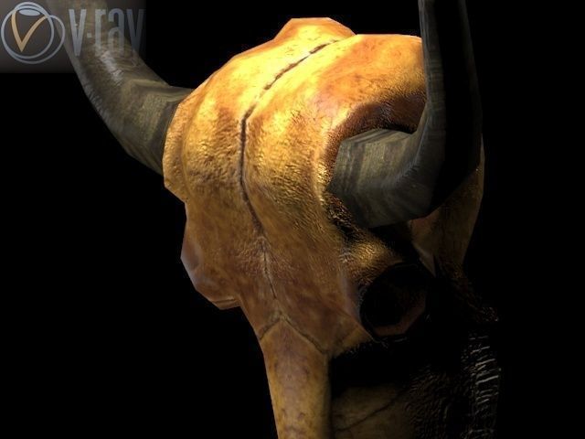 Cow Skull Low-poly 3D model_10