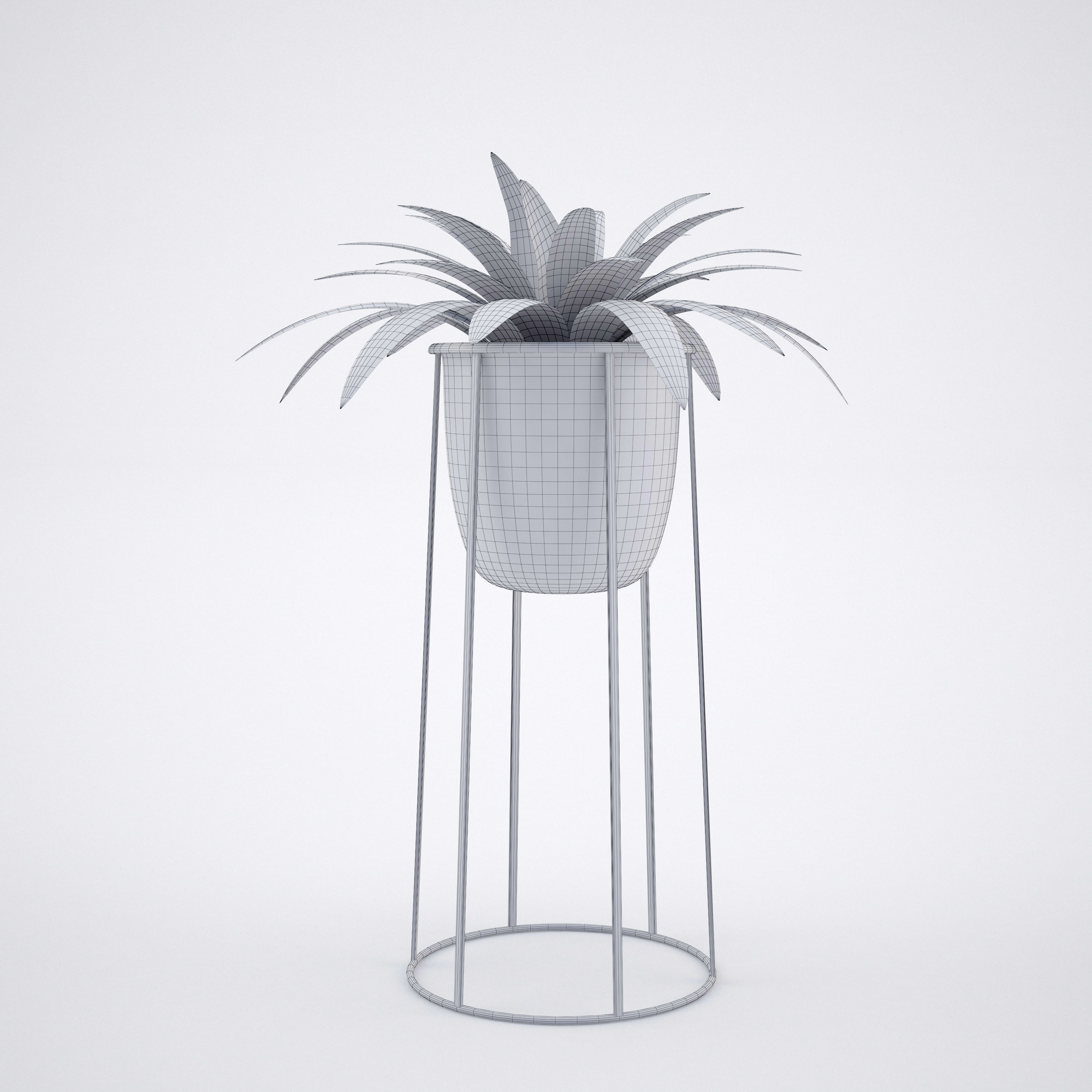 House plant 2  3D model_10