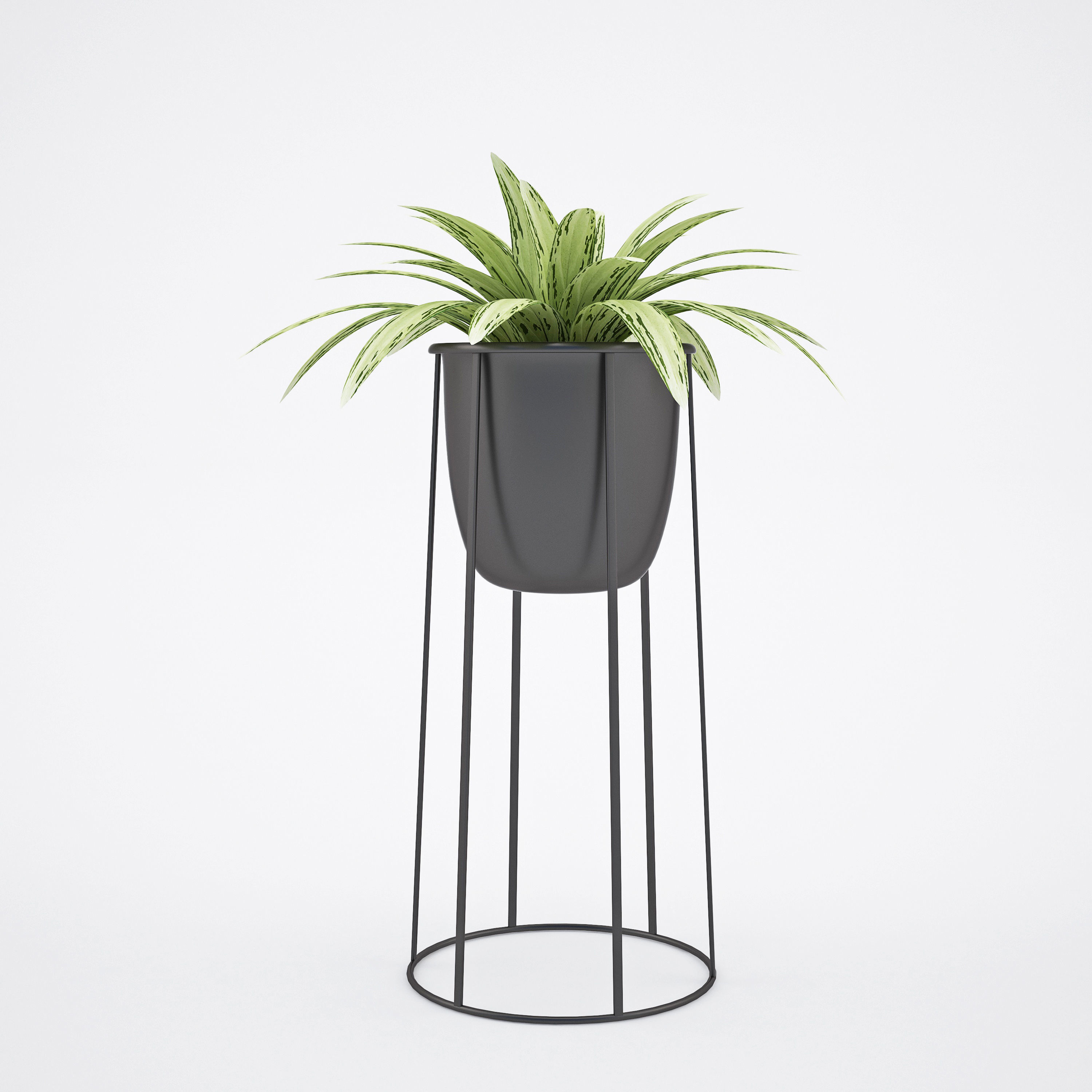 House plant 2  3D model_4