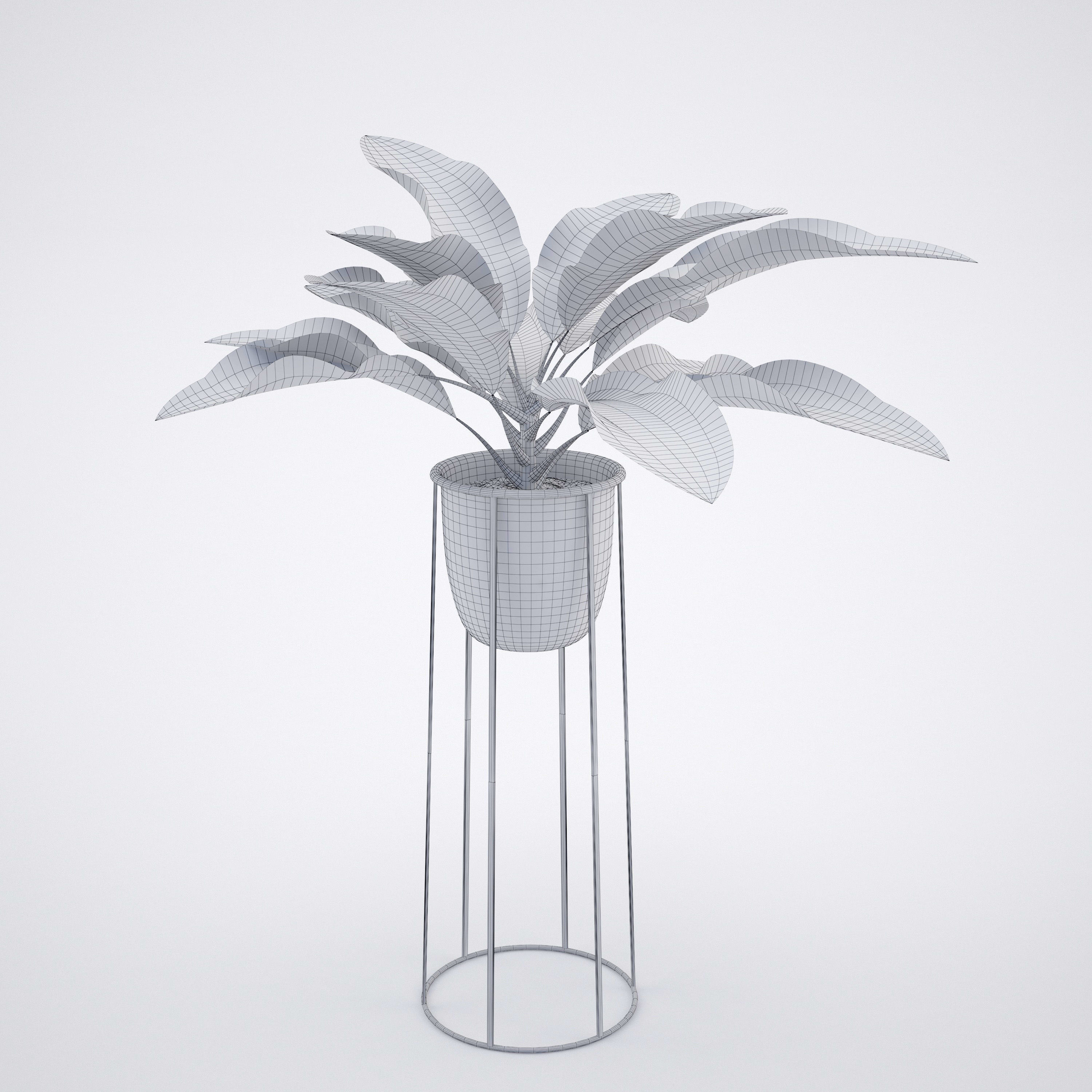 House plant 2  3D model_8
