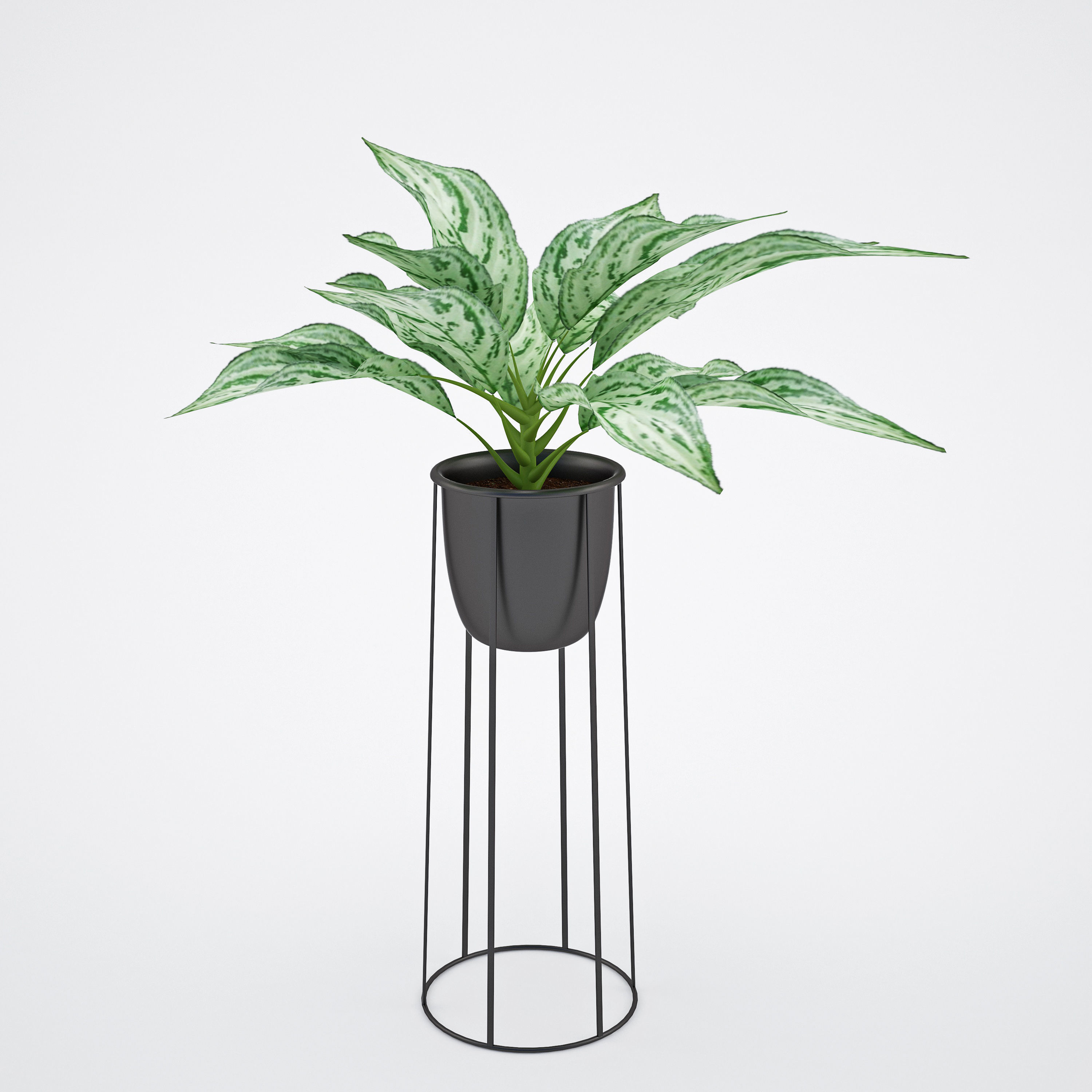 House plant 2  3D model_5