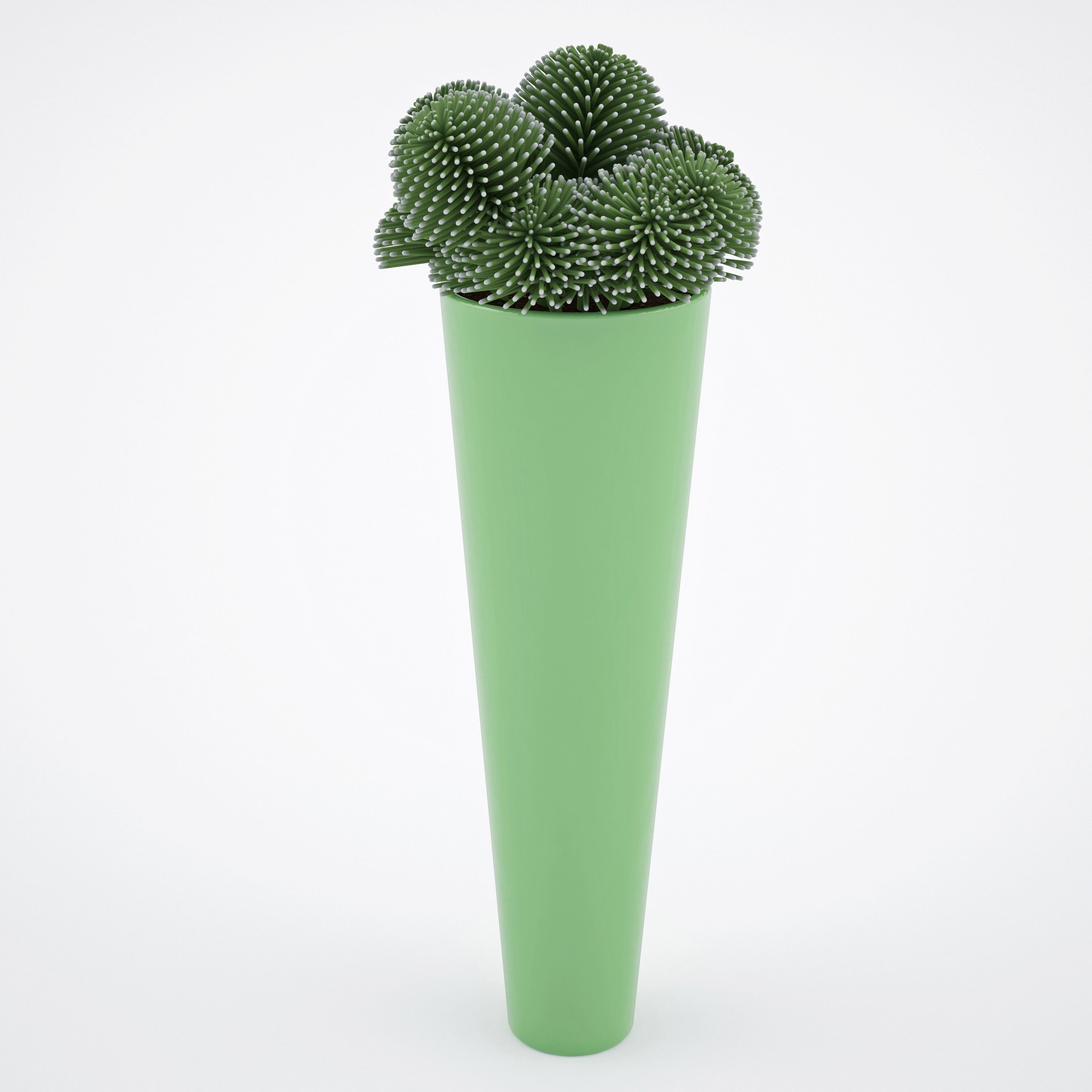 House plant 2  3D model_3