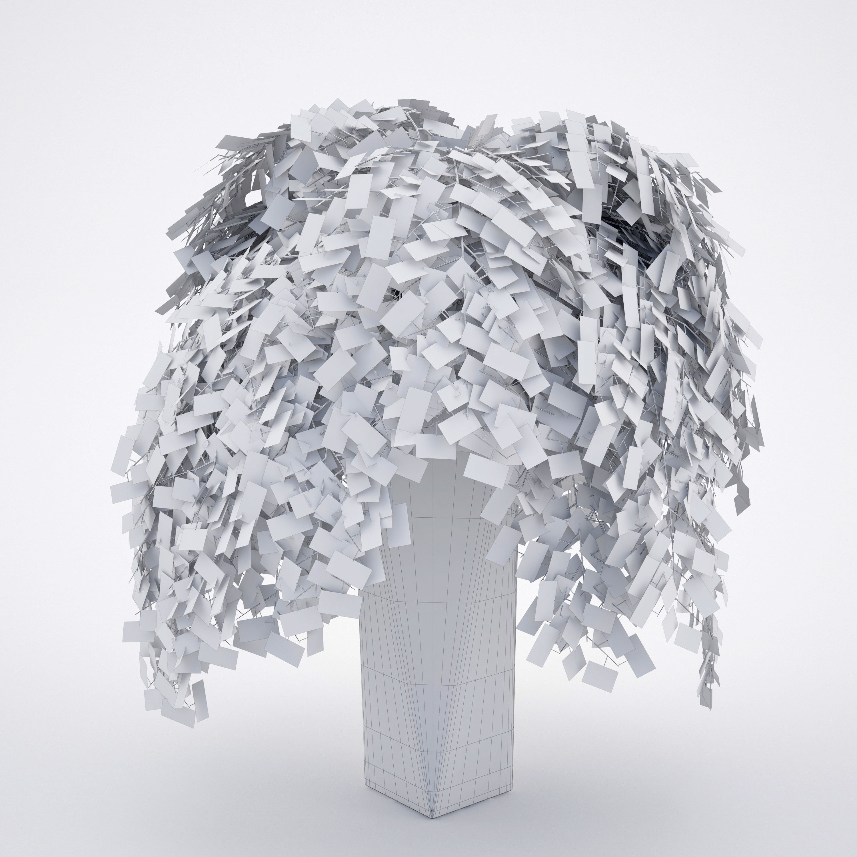 House plant 2  3D model_7