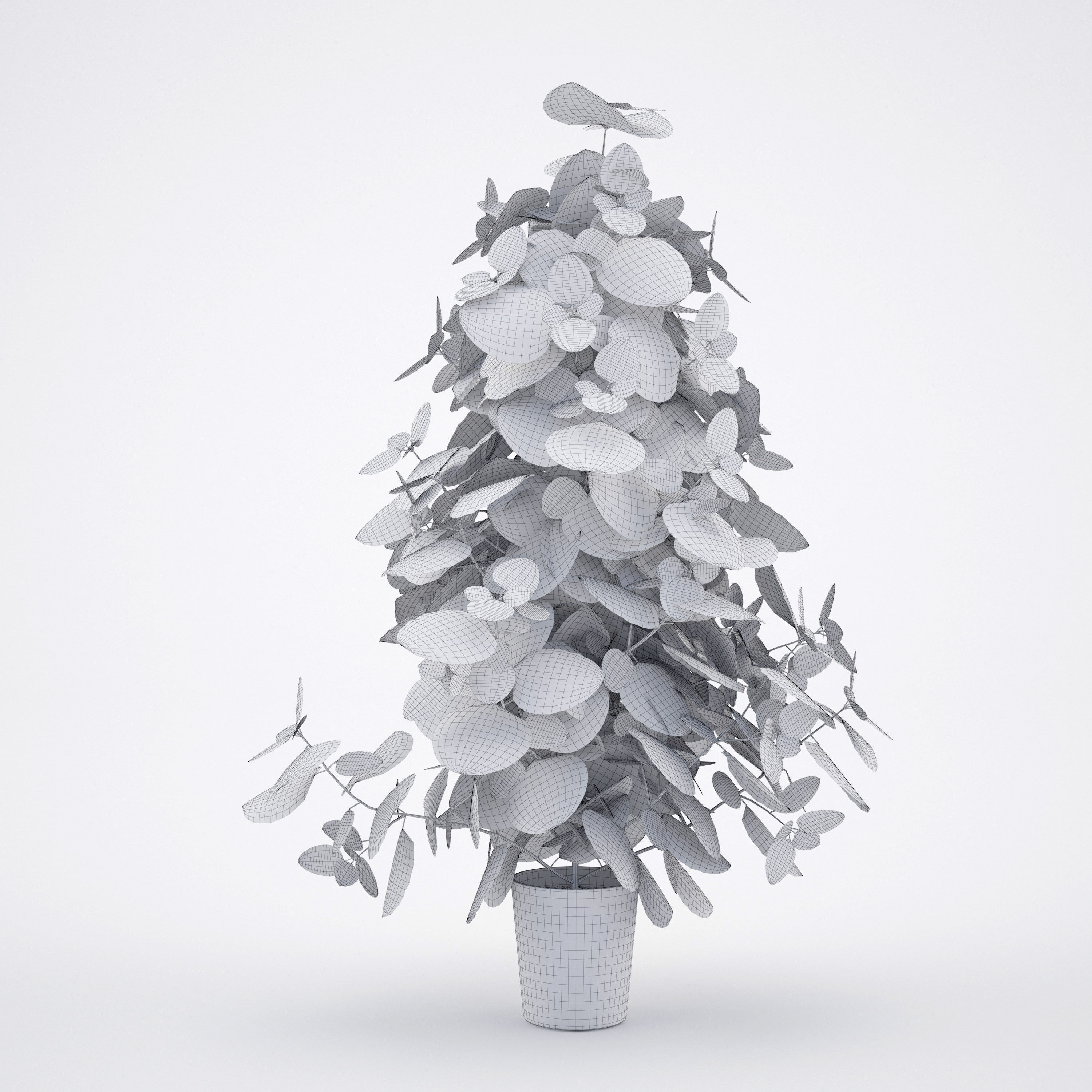 House plant 2  3D model_6