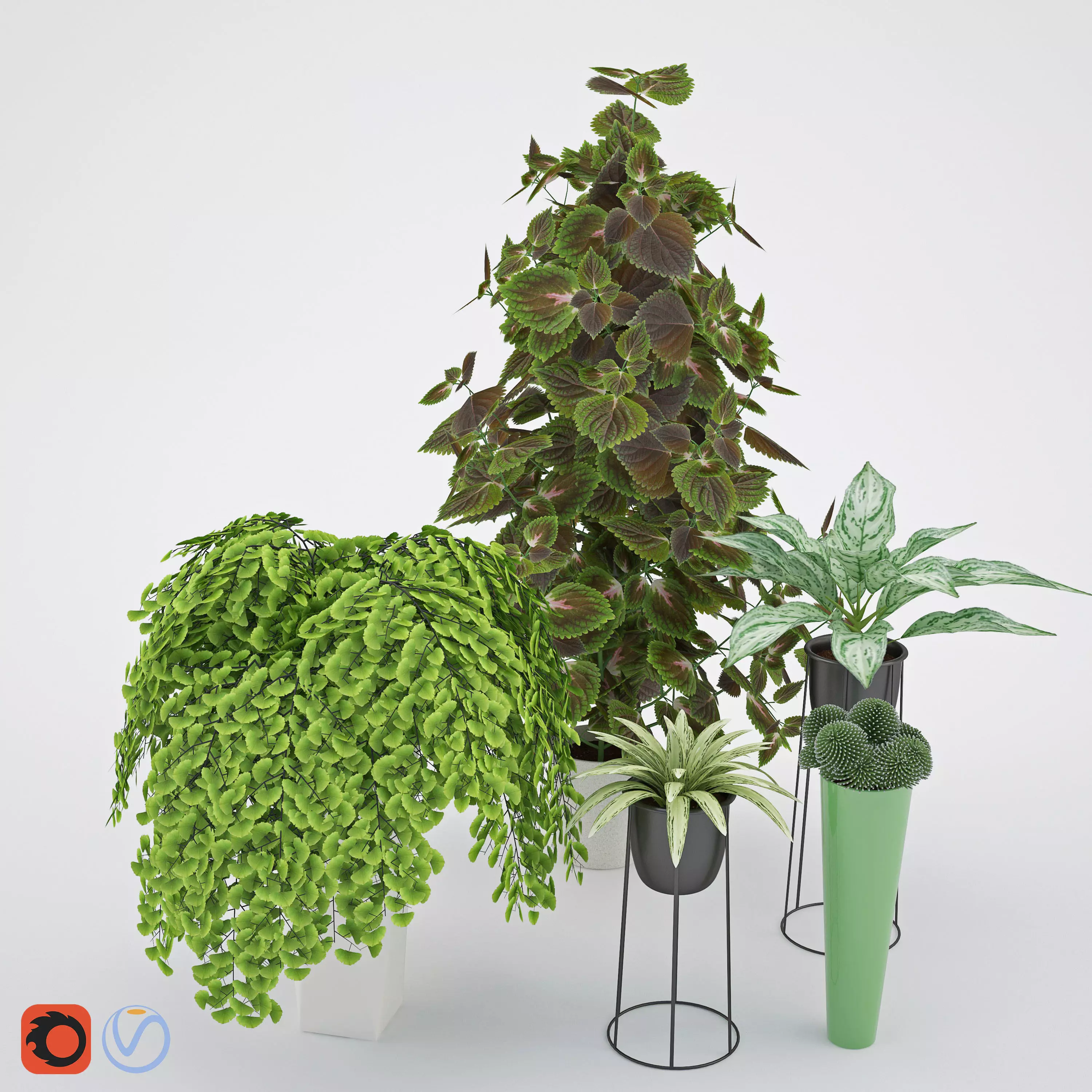 House plant 2  3D model_0