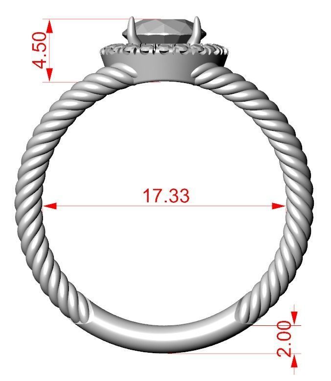 Stylish ring with diamonds and a rope 3D print model_28