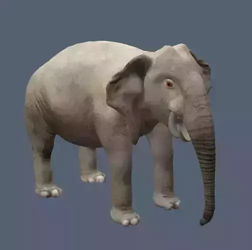ELephant Low-poly 3D model