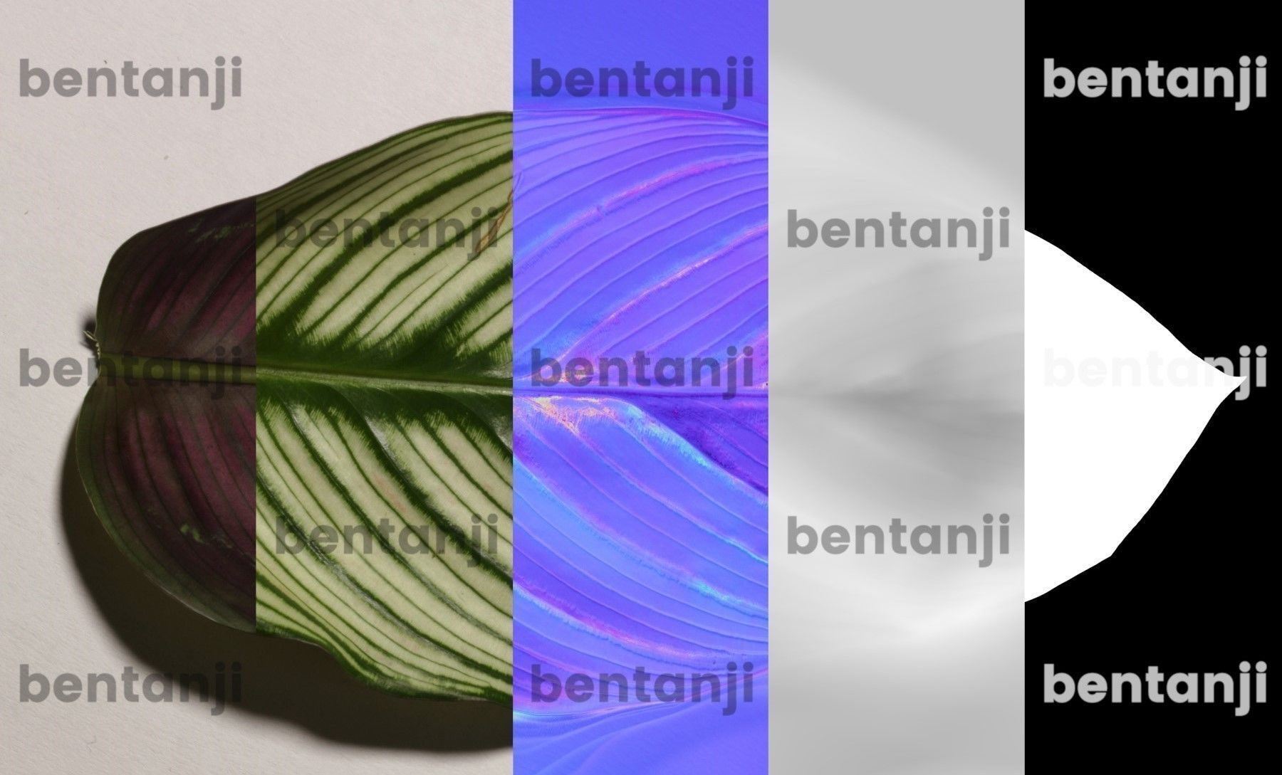 Vertical Garden 6 Low-poly 3D model_2