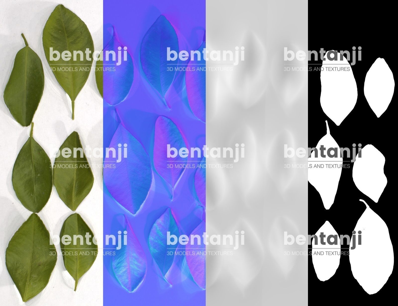 Vertical Garden 6 Low-poly 3D model_1