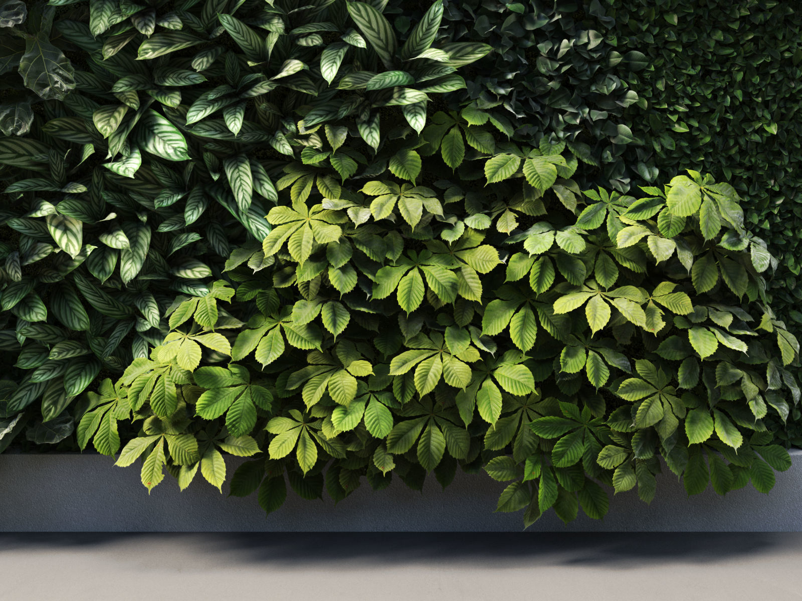 Vertical Garden 6 Low-poly 3D model_6