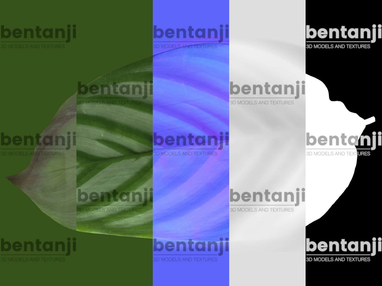 Vertical Garden 6 Low-poly 3D model_4