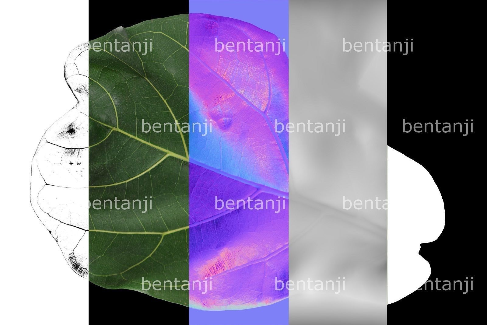 Vertical Garden 6 Low-poly 3D model_3