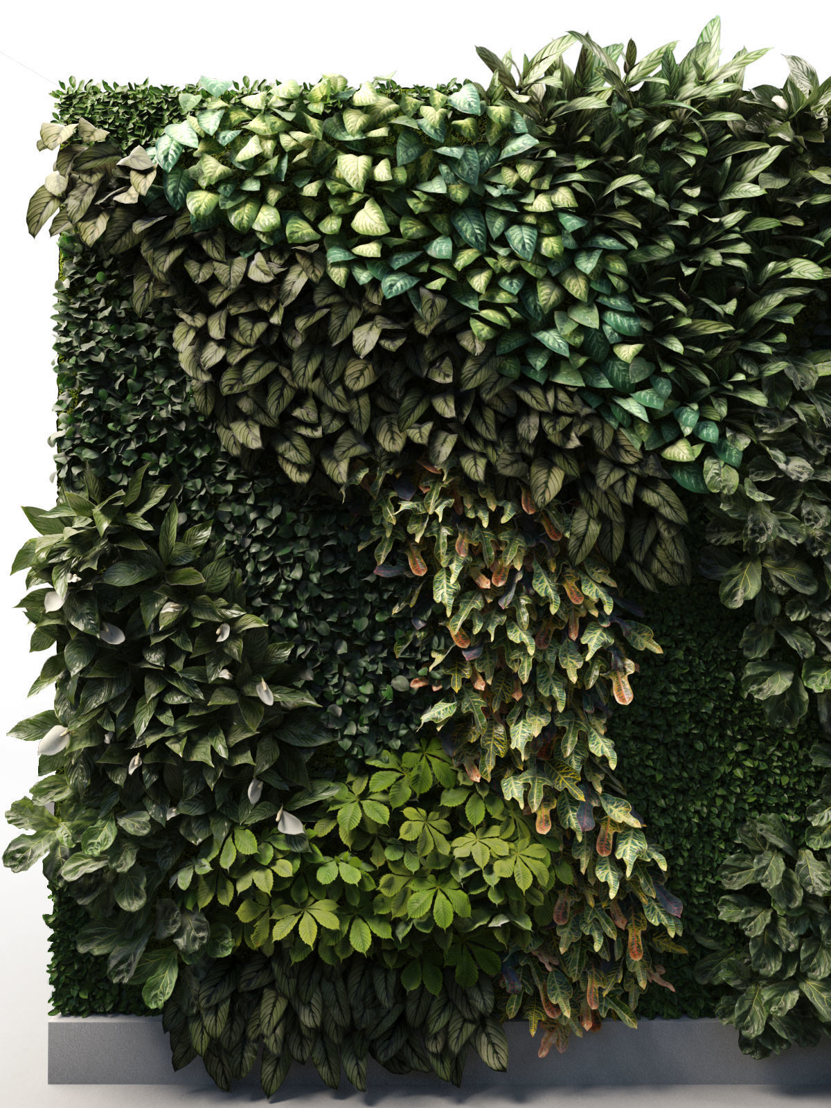 Vertical Garden 6 Low-poly 3D model_10