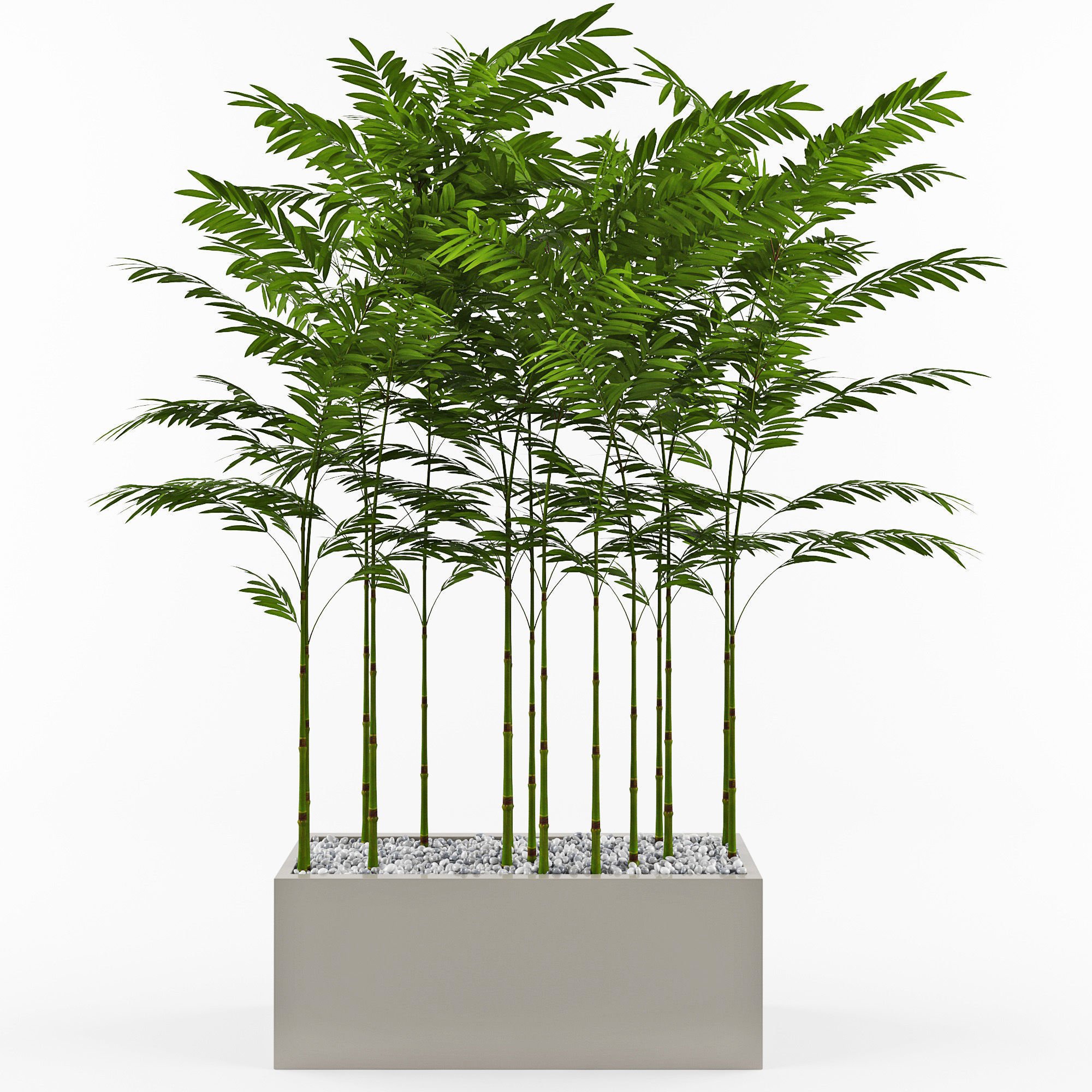 House plant 3  3D model_5