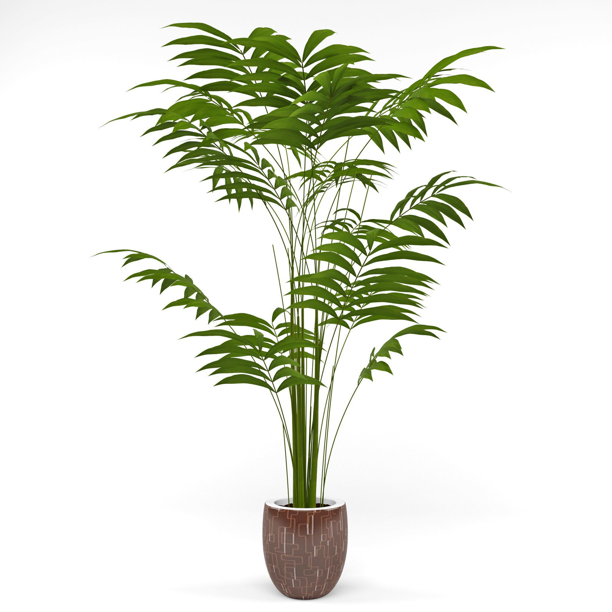 House plant 3  3D model_1
