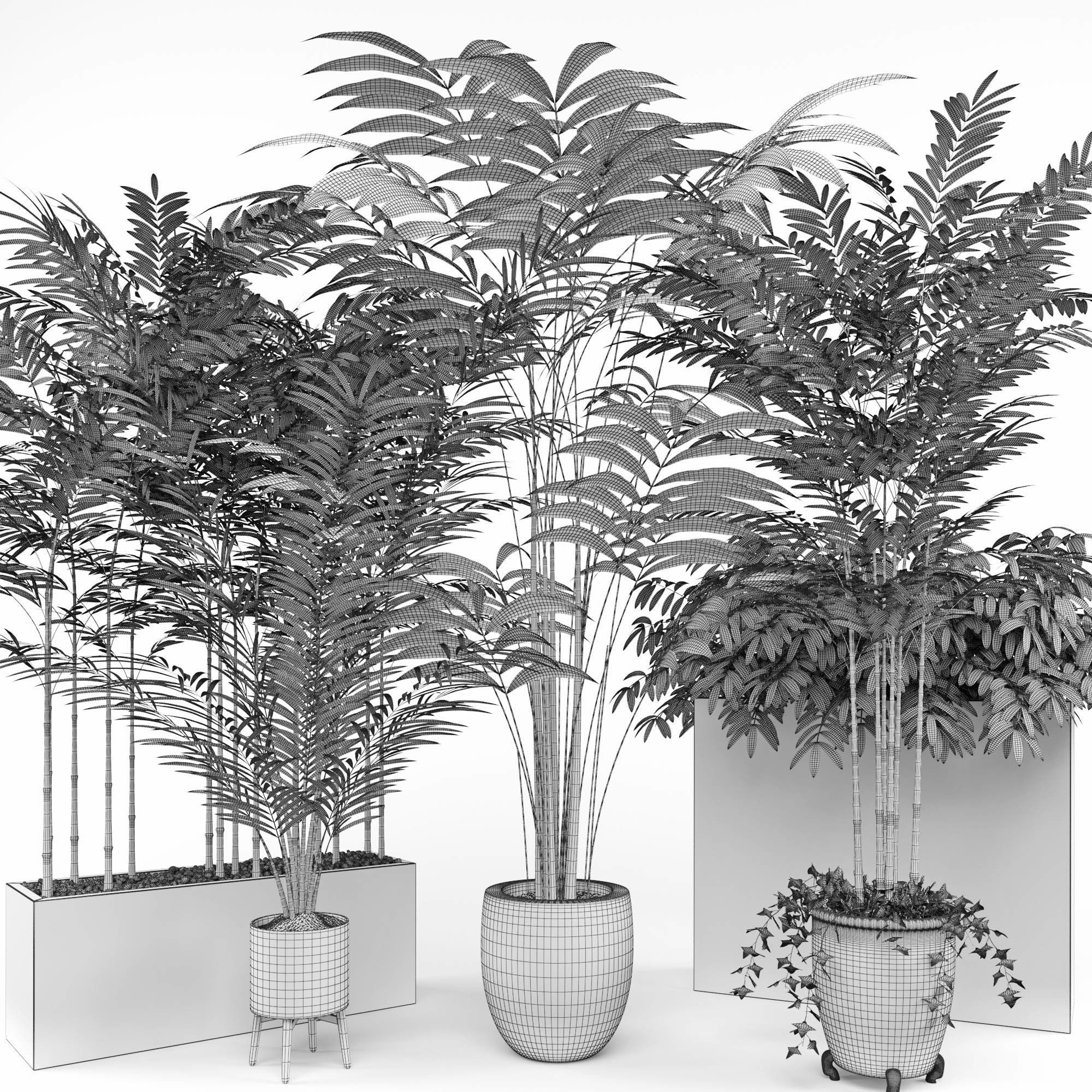 House plant 3  3D model_6