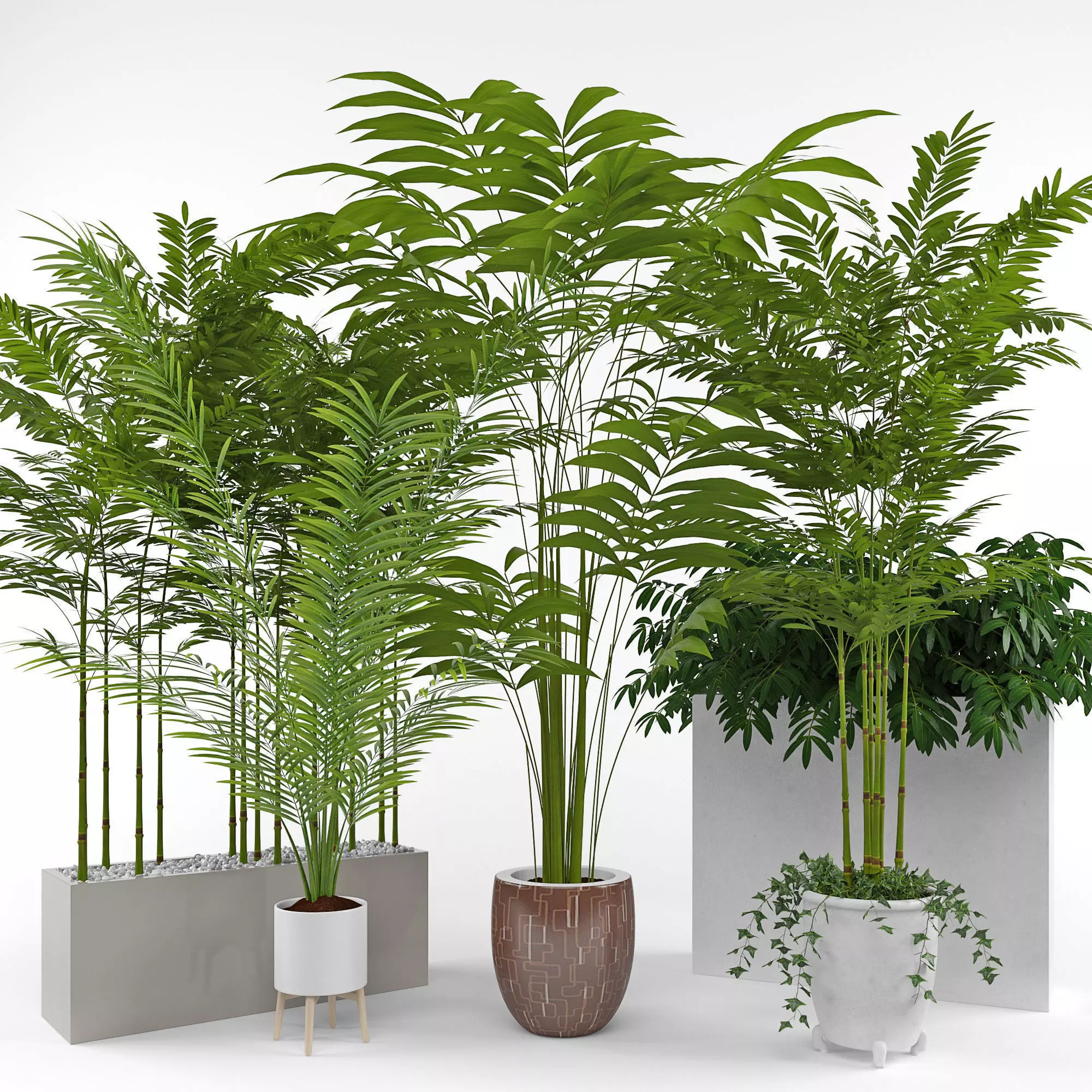 House plant 3  3D model_0