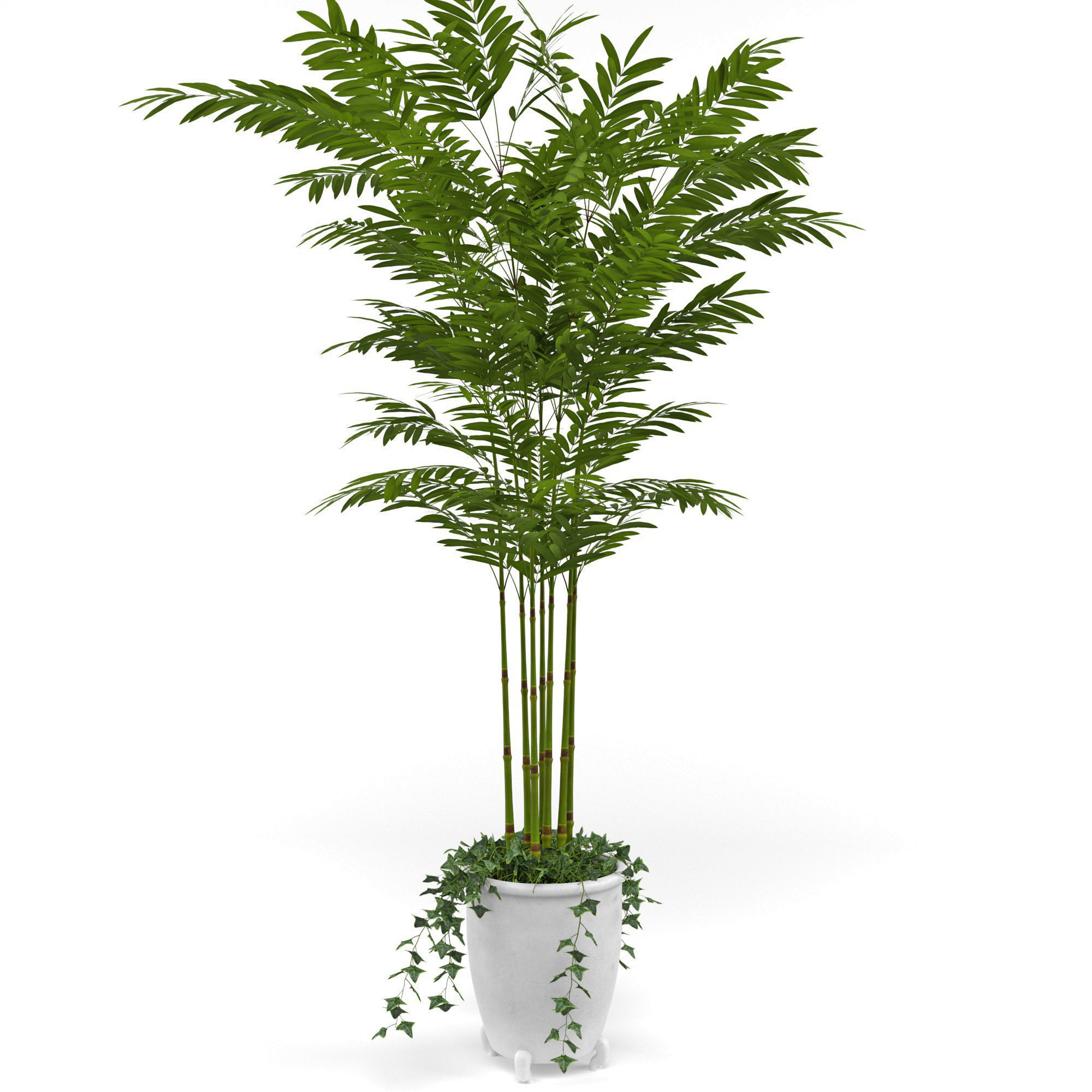 House plant 3  3D model_2