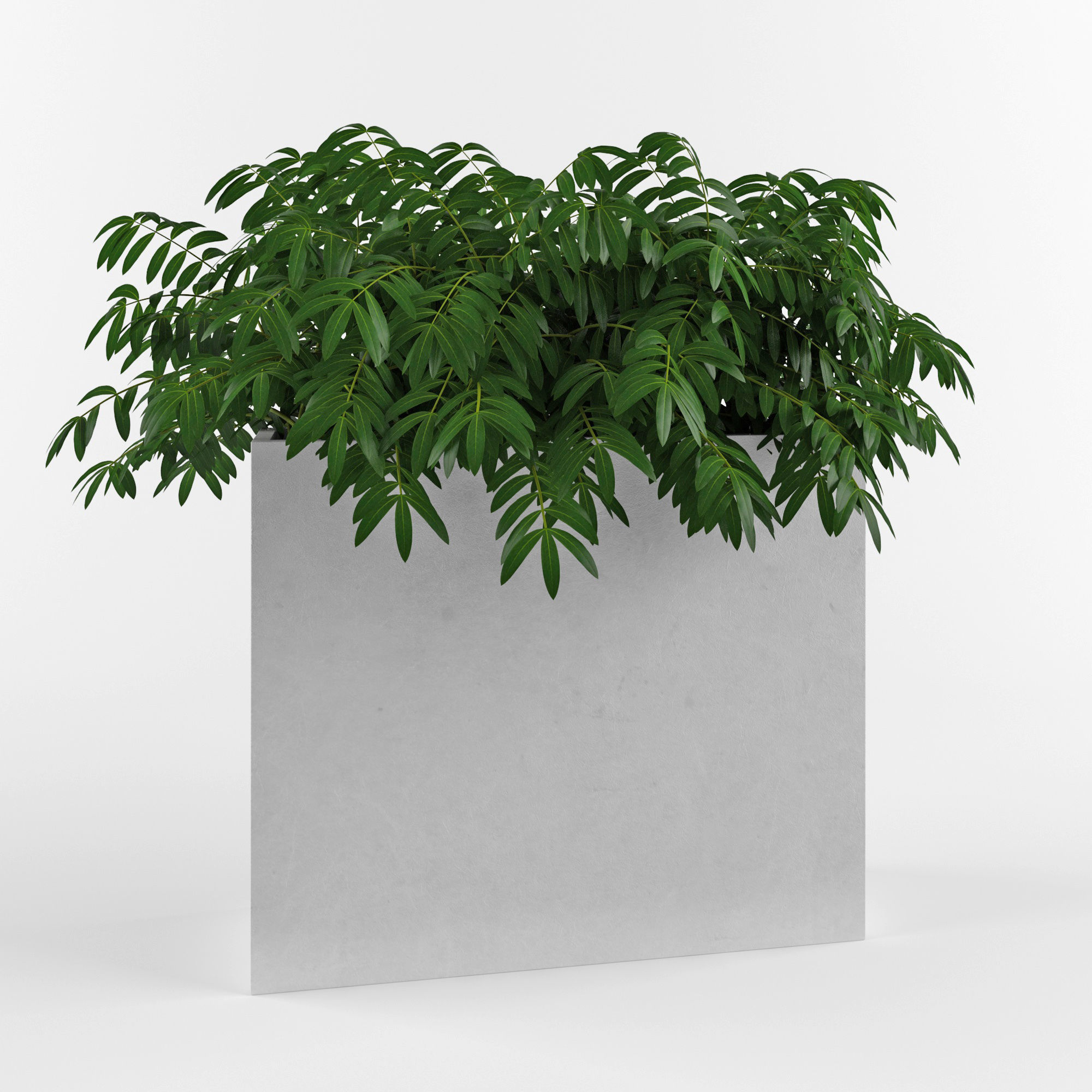 House plant 3  3D model_4