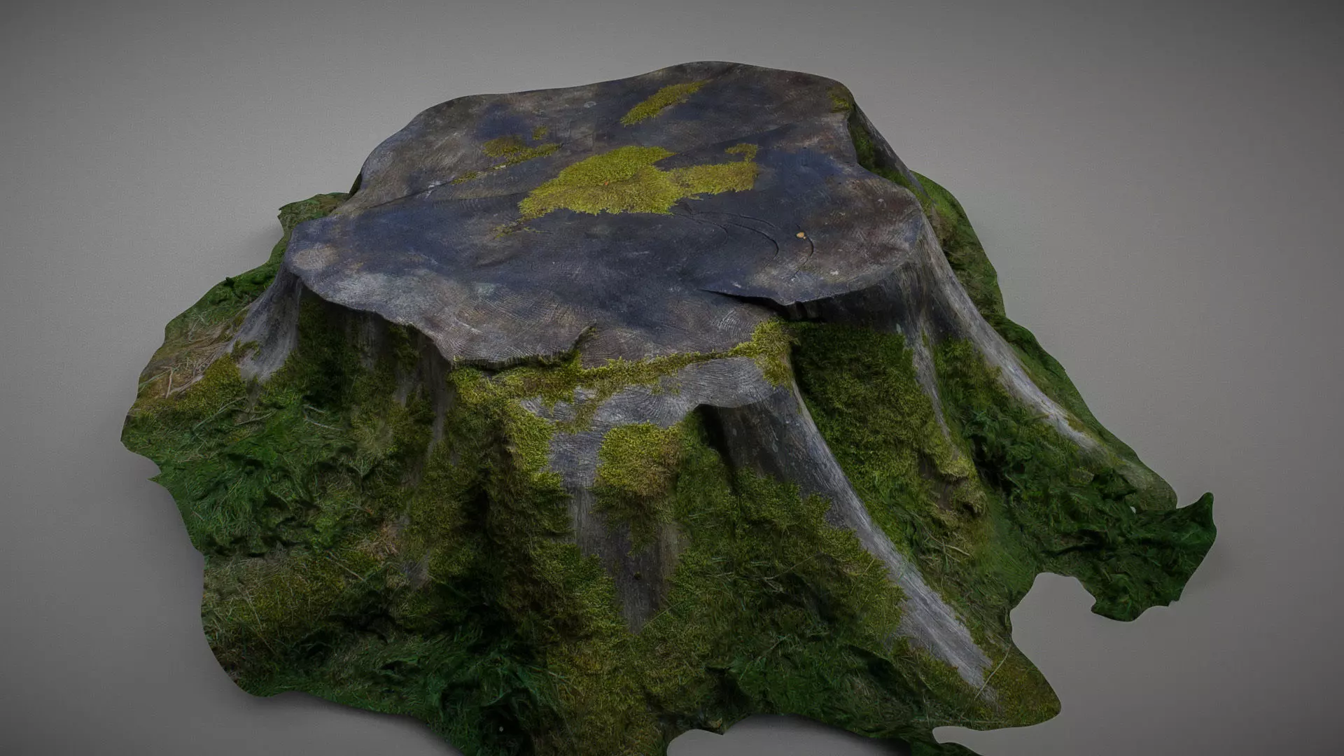 Mossy tree stump low poly Low-poly 3D model_0