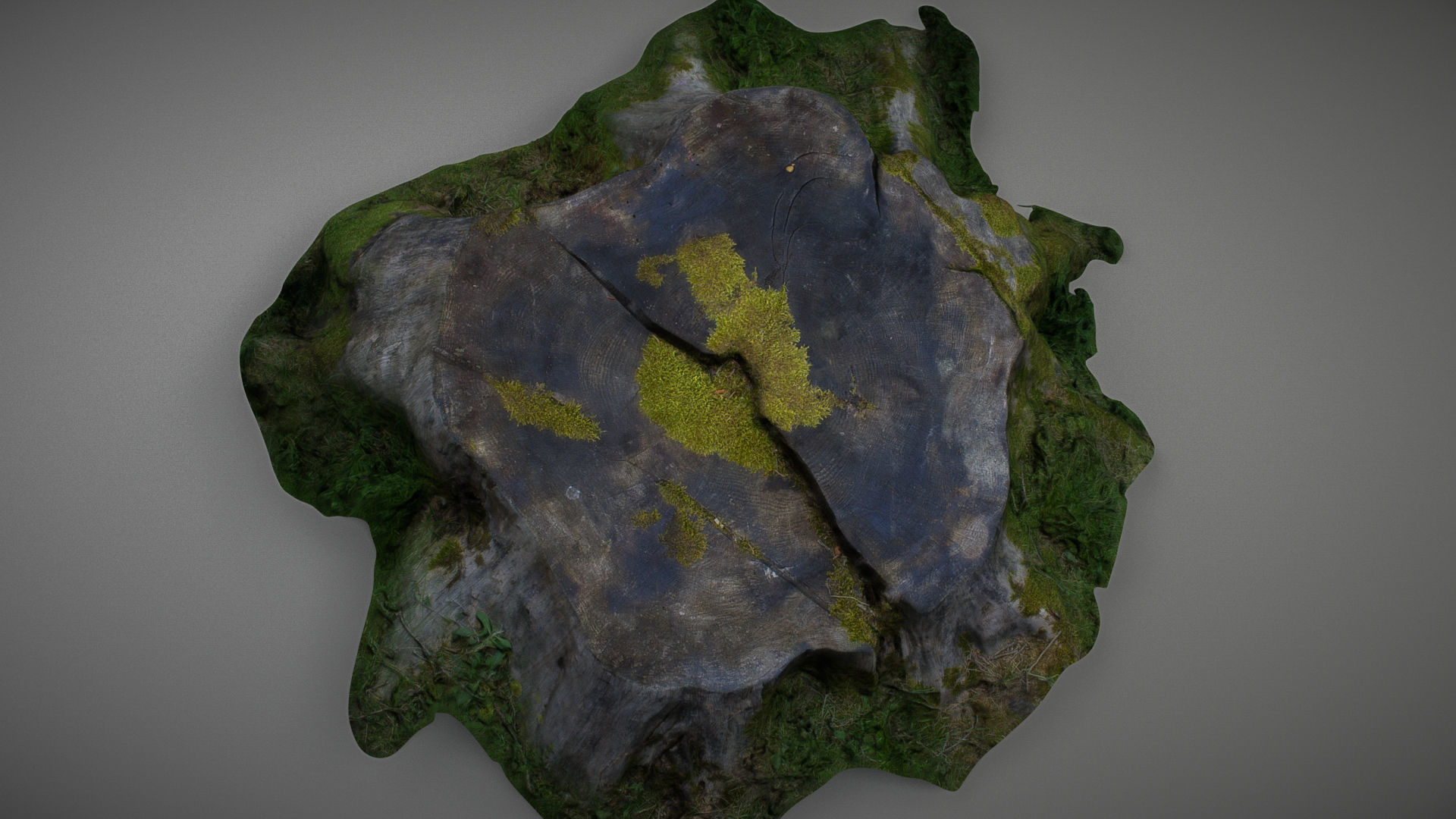 Mossy tree stump low poly Low-poly 3D model_3