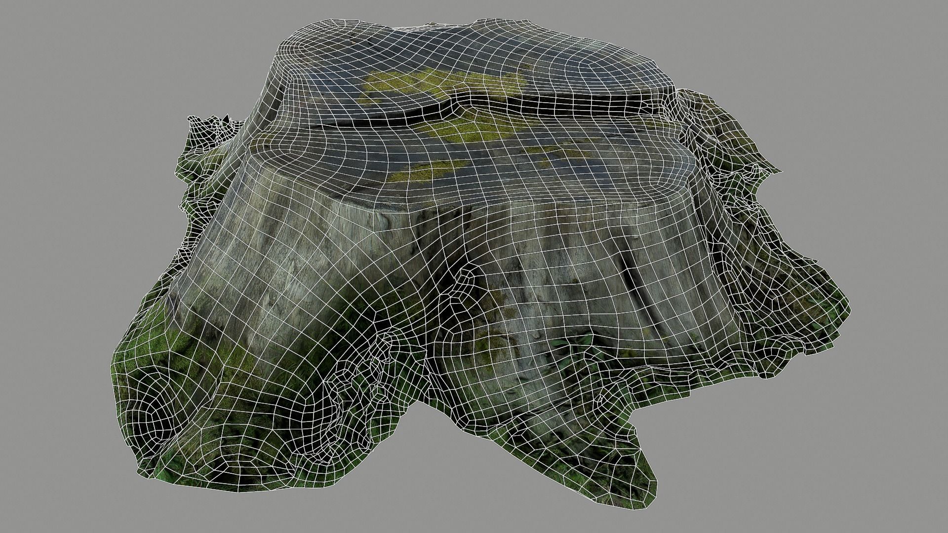 Mossy tree stump low poly Low-poly 3D model_4