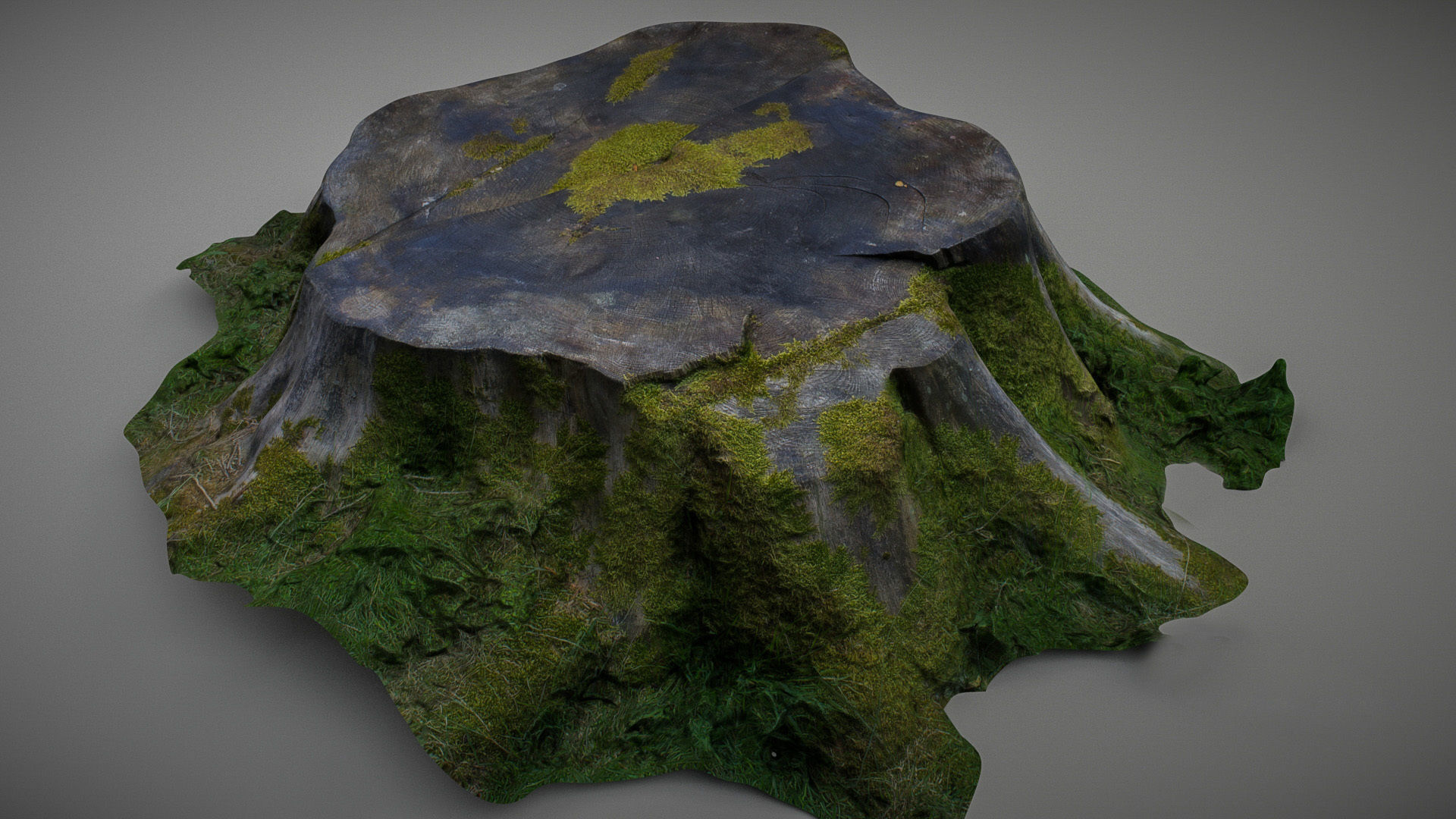 Mossy tree stump low poly Low-poly 3D model_2