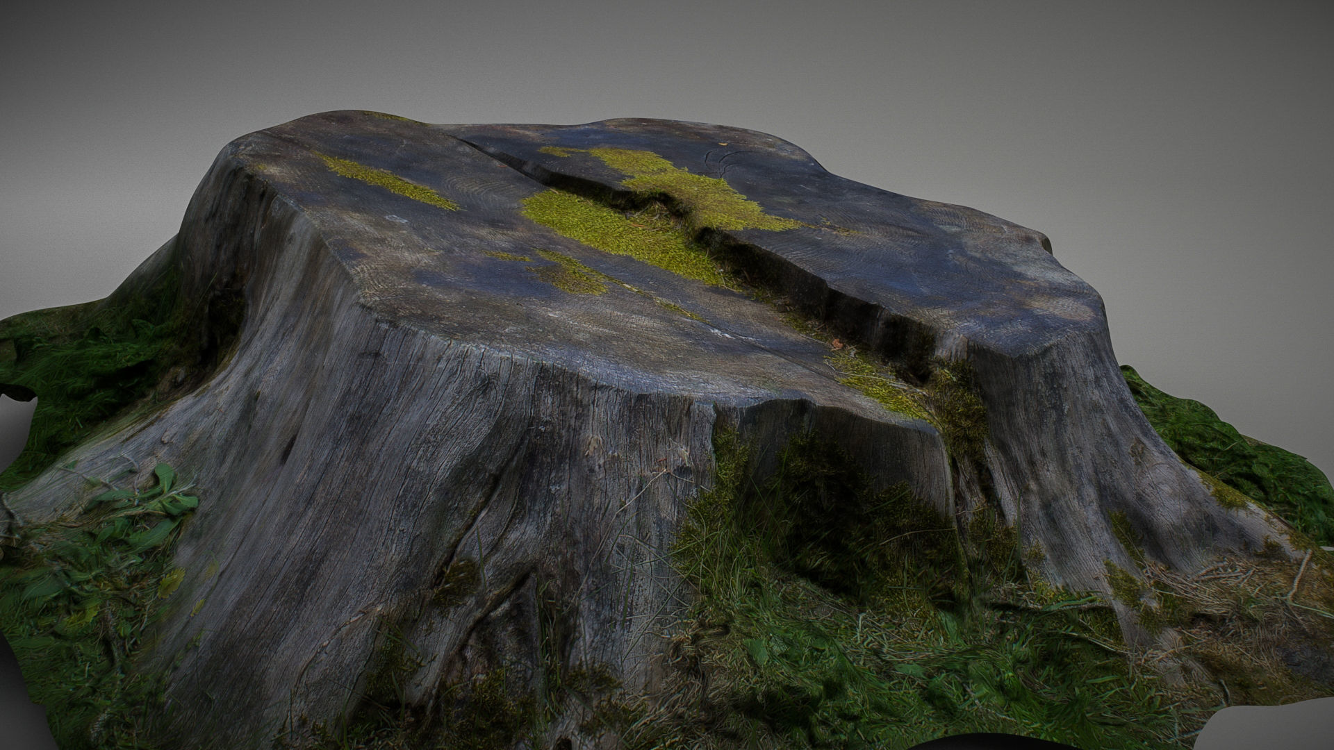 Mossy tree stump low poly Low-poly 3D model_1