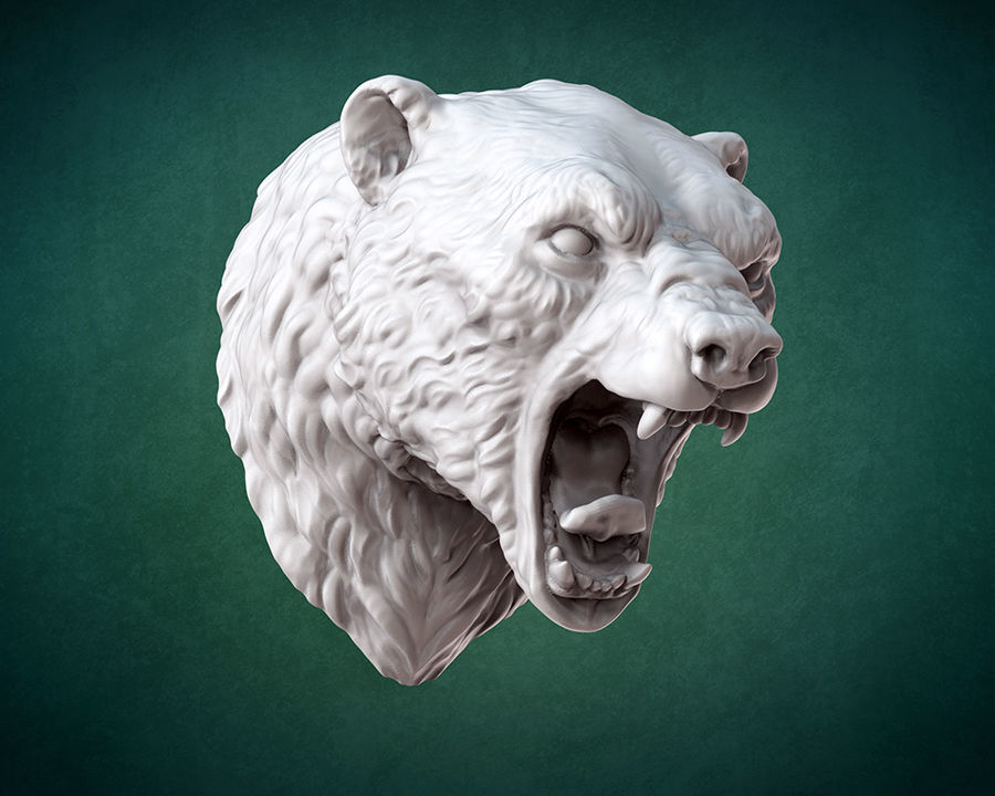 Bust of Polar bear 3D print model_1