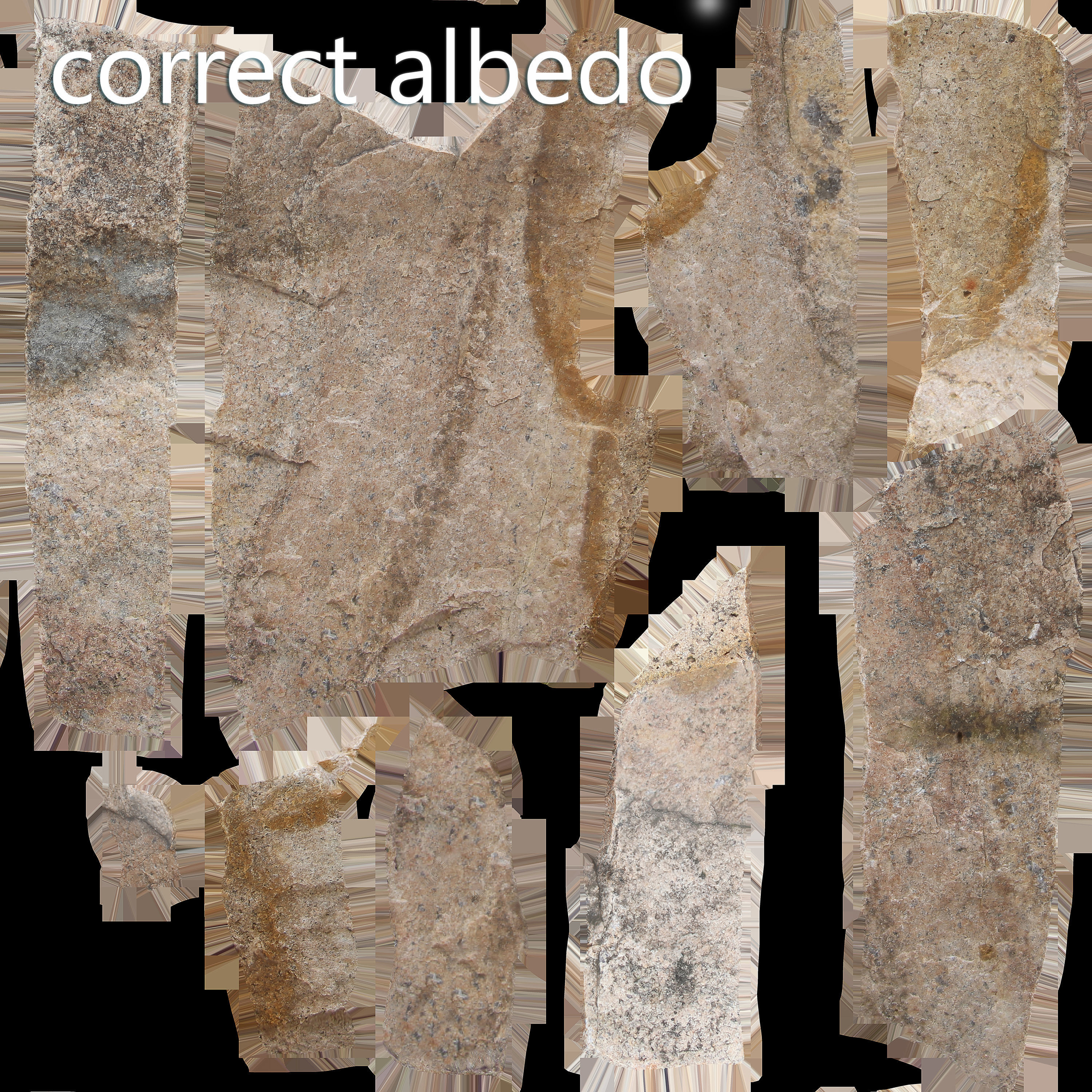 Rock Scan 3D model 3D model_7