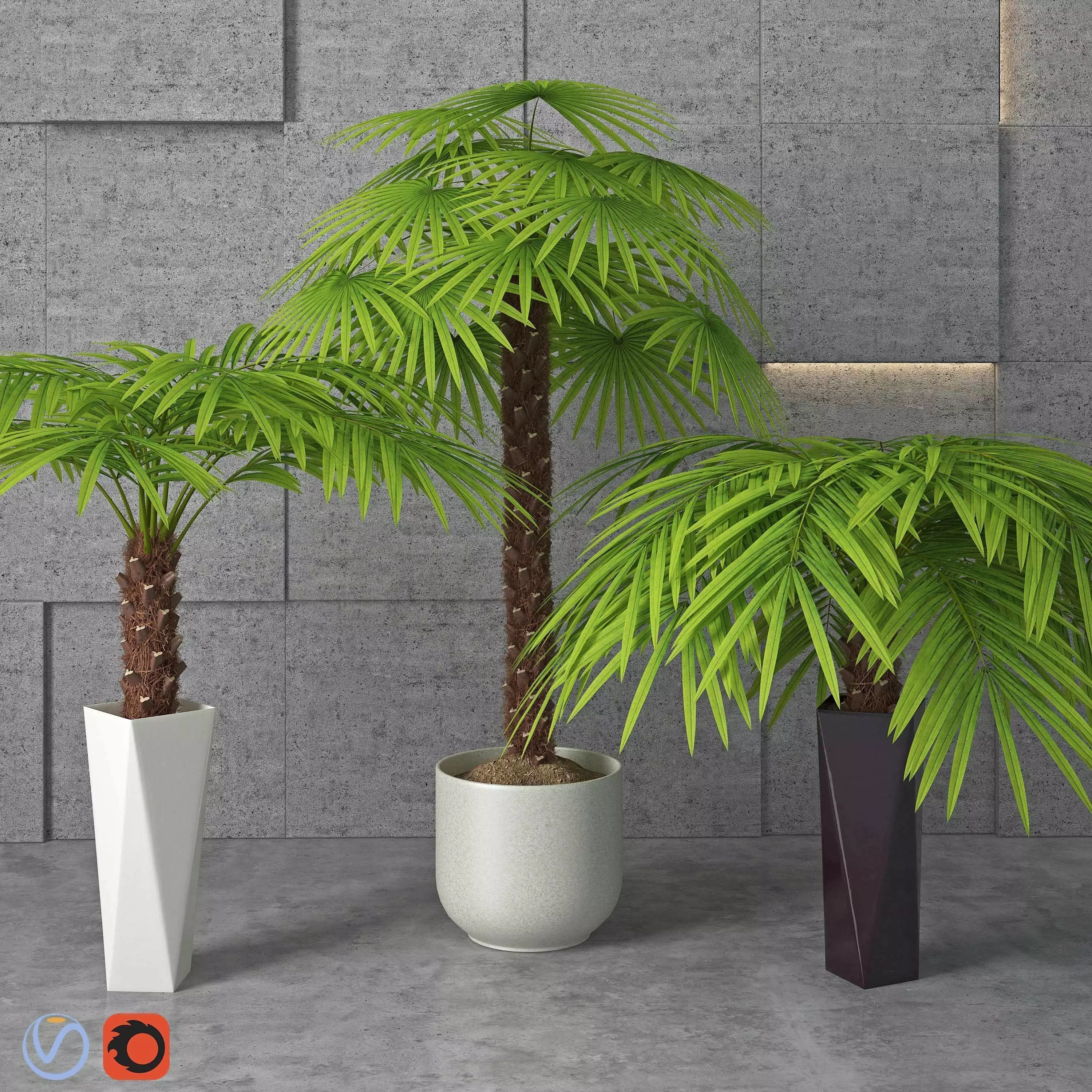 Houseplant 5 palm tree in pot 3D model_0