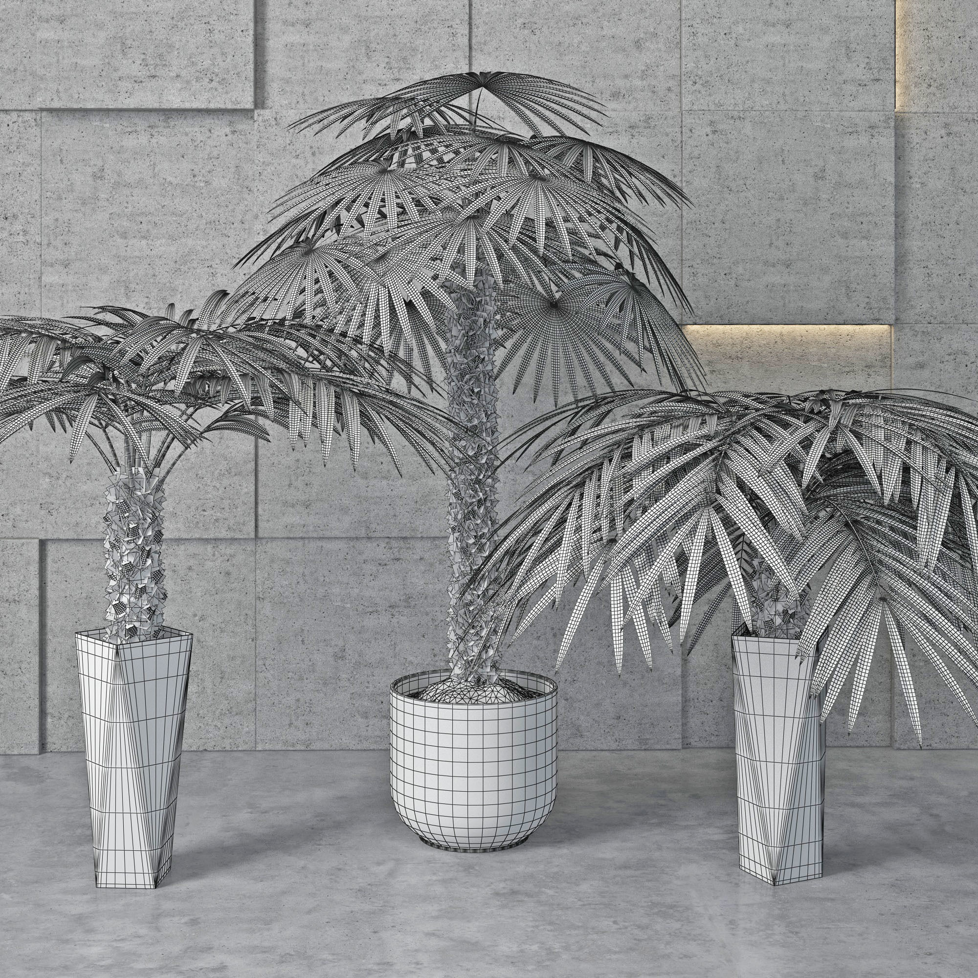 Houseplant 5 palm tree in pot 3D model_2