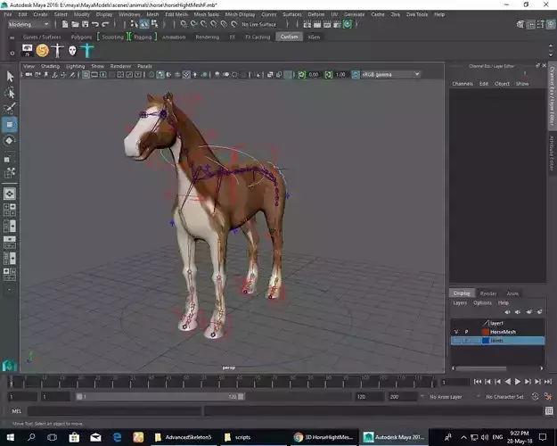 HorseHightMesh