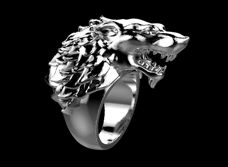 GoT Ring 3D print model_1