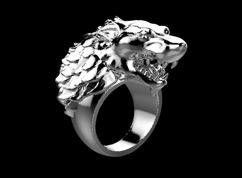 GoT Ring 3D print model_2