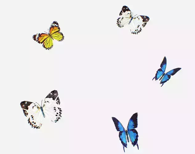 Animated Low Poly Art Several Butterflie Insect Low-poly 3D model