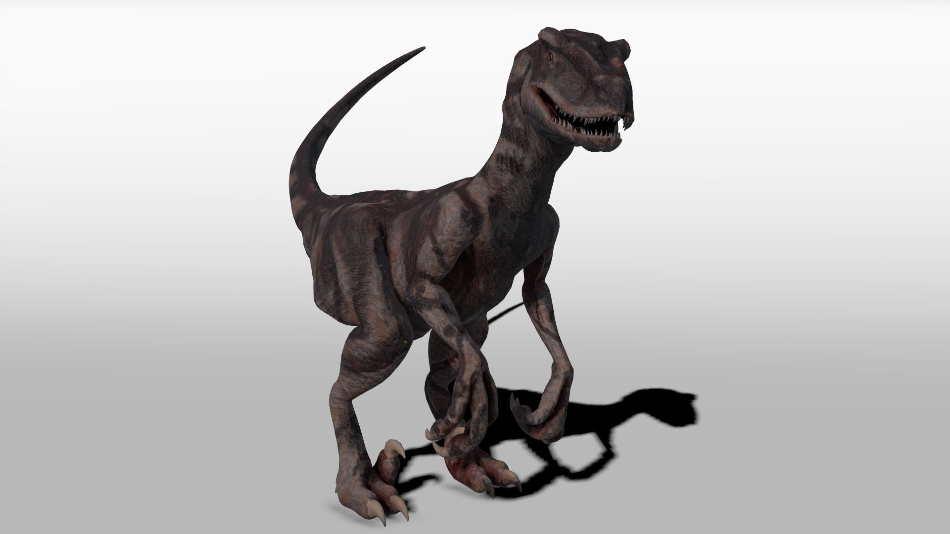 Velociraptor - Game Ready dinosaur Low-poly 3D model_5