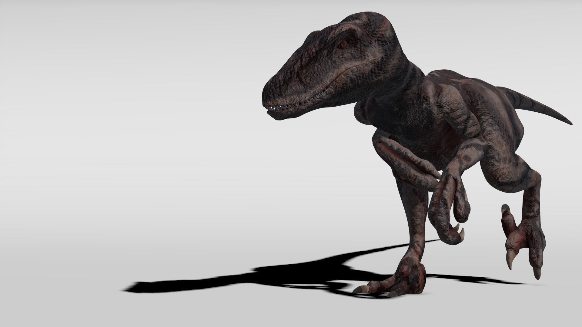 Velociraptor - Game Ready dinosaur Low-poly 3D model_1