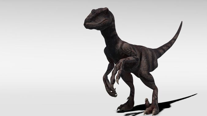 Velociraptor - Game Ready dinosaur Low-poly 3D model