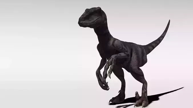 Velociraptor - Game Ready dinosaur Low-poly 3D model