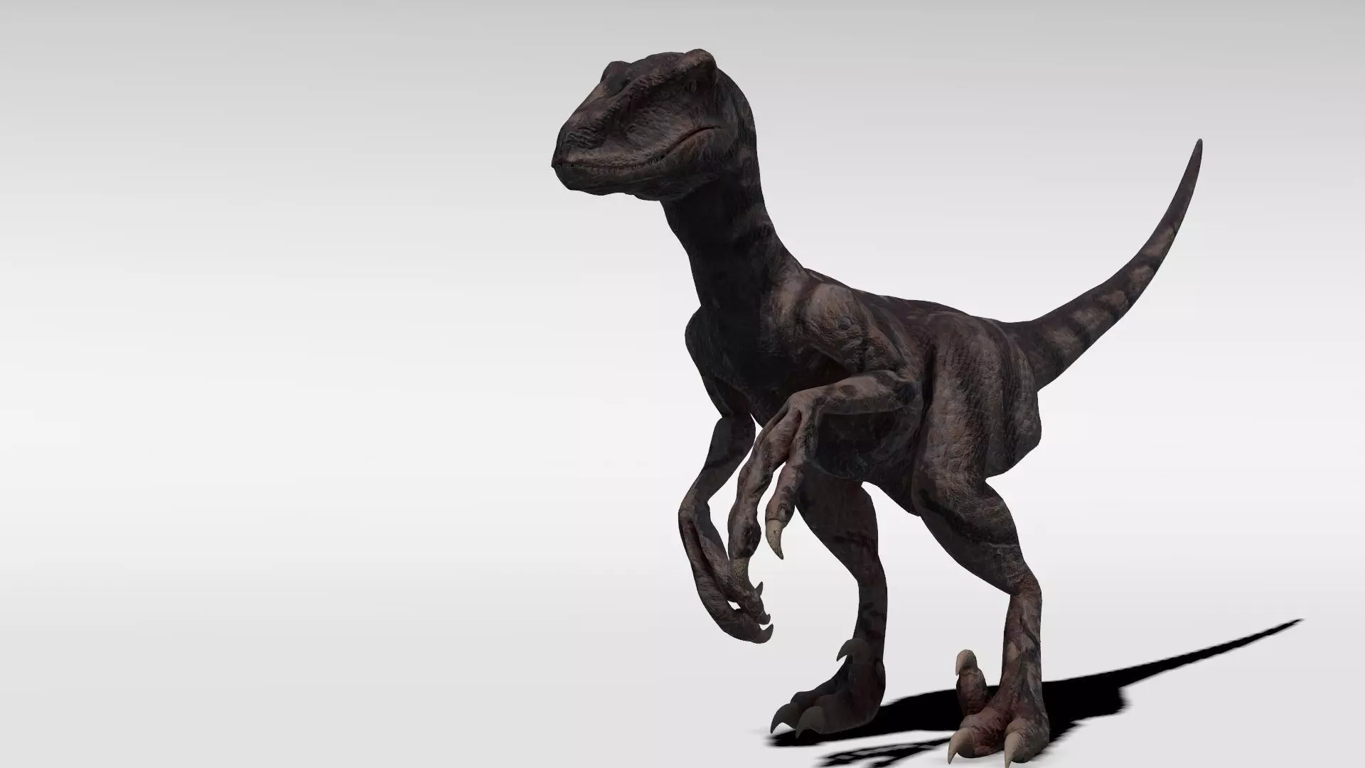 Velociraptor - Game Ready dinosaur Low-poly 3D model_0