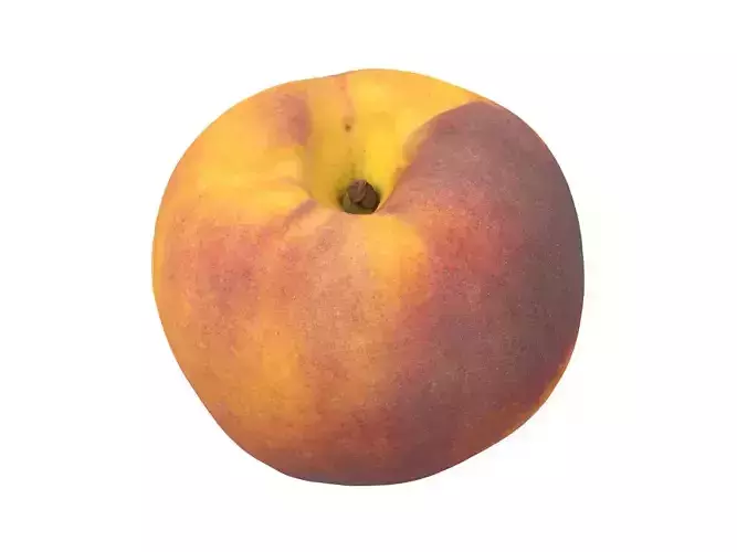 Photorealistic Peach 3D Scan
