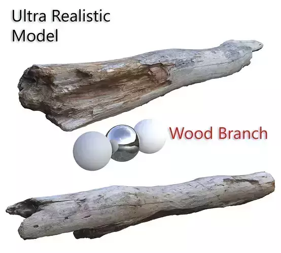 Wood Branch Scan