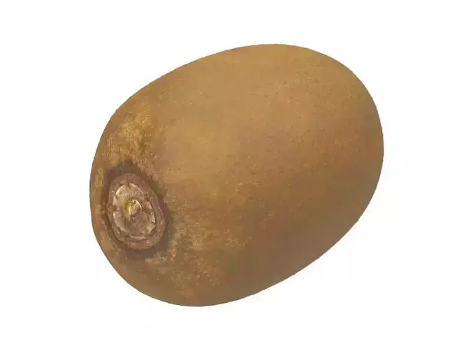 Photorealistic Kiwi 3D Scan