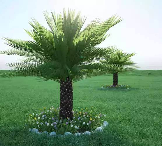 Palm bush