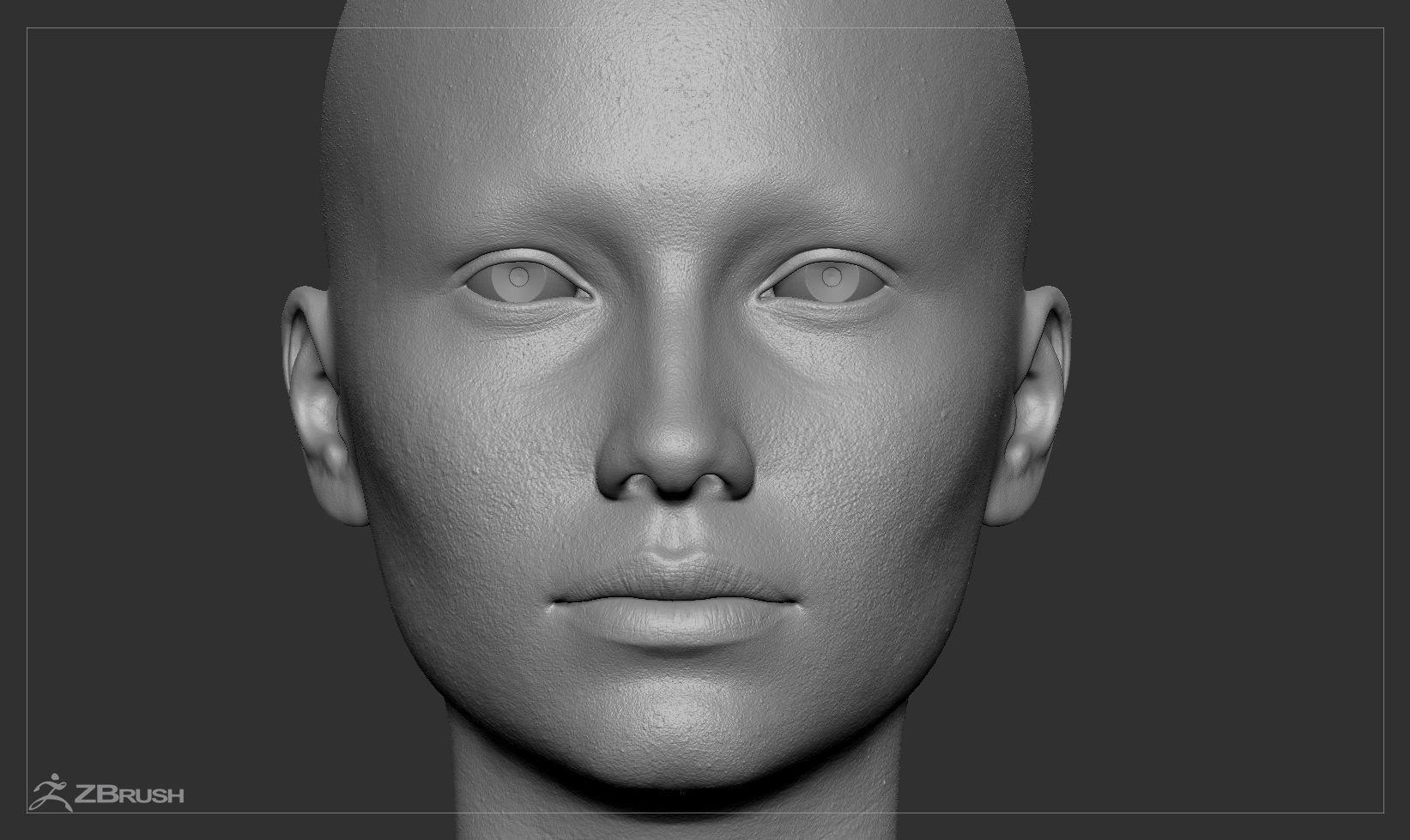 Average Caucasian Female Head Basemesh 3D model_4