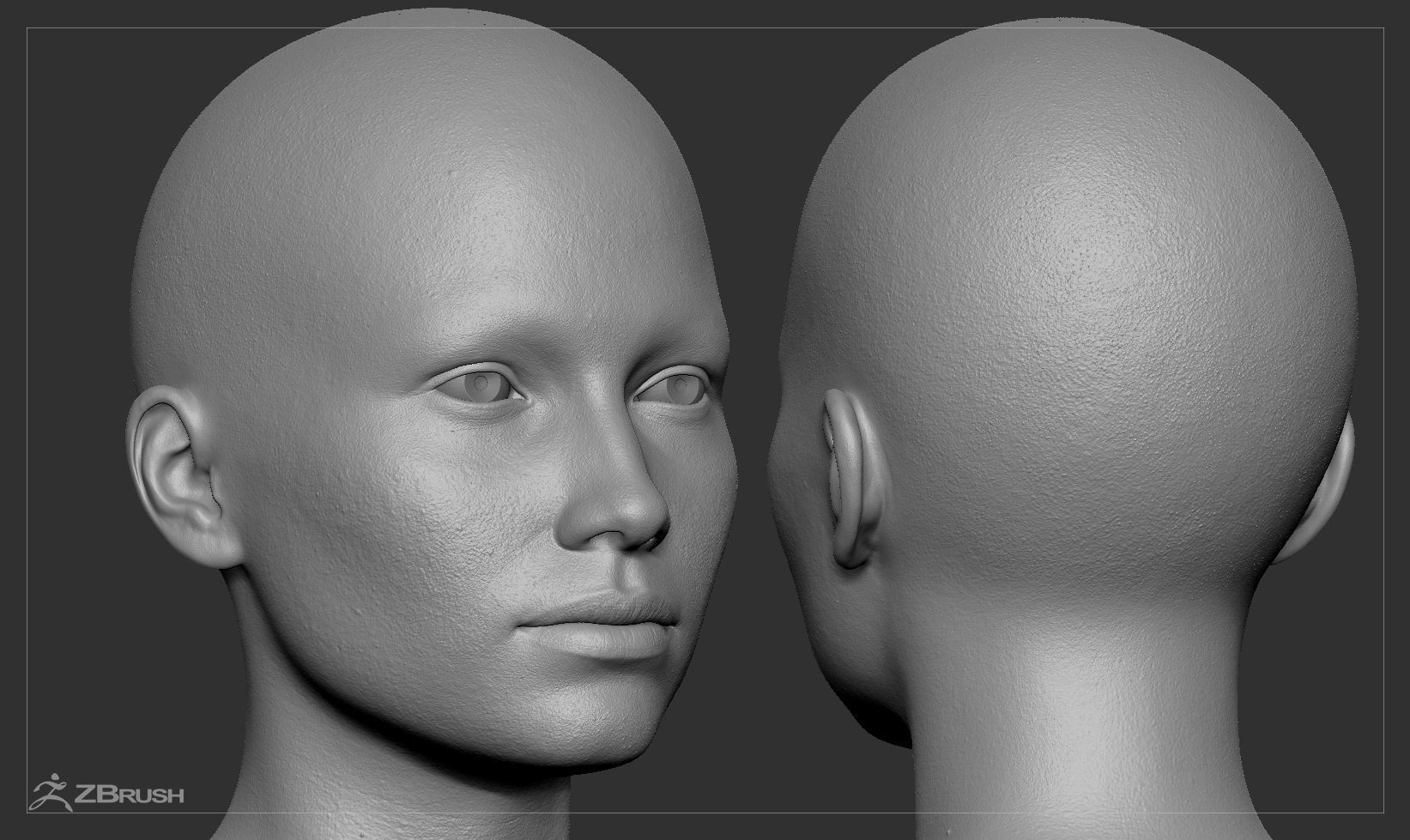 Average Caucasian Female Head Basemesh 3D model_2