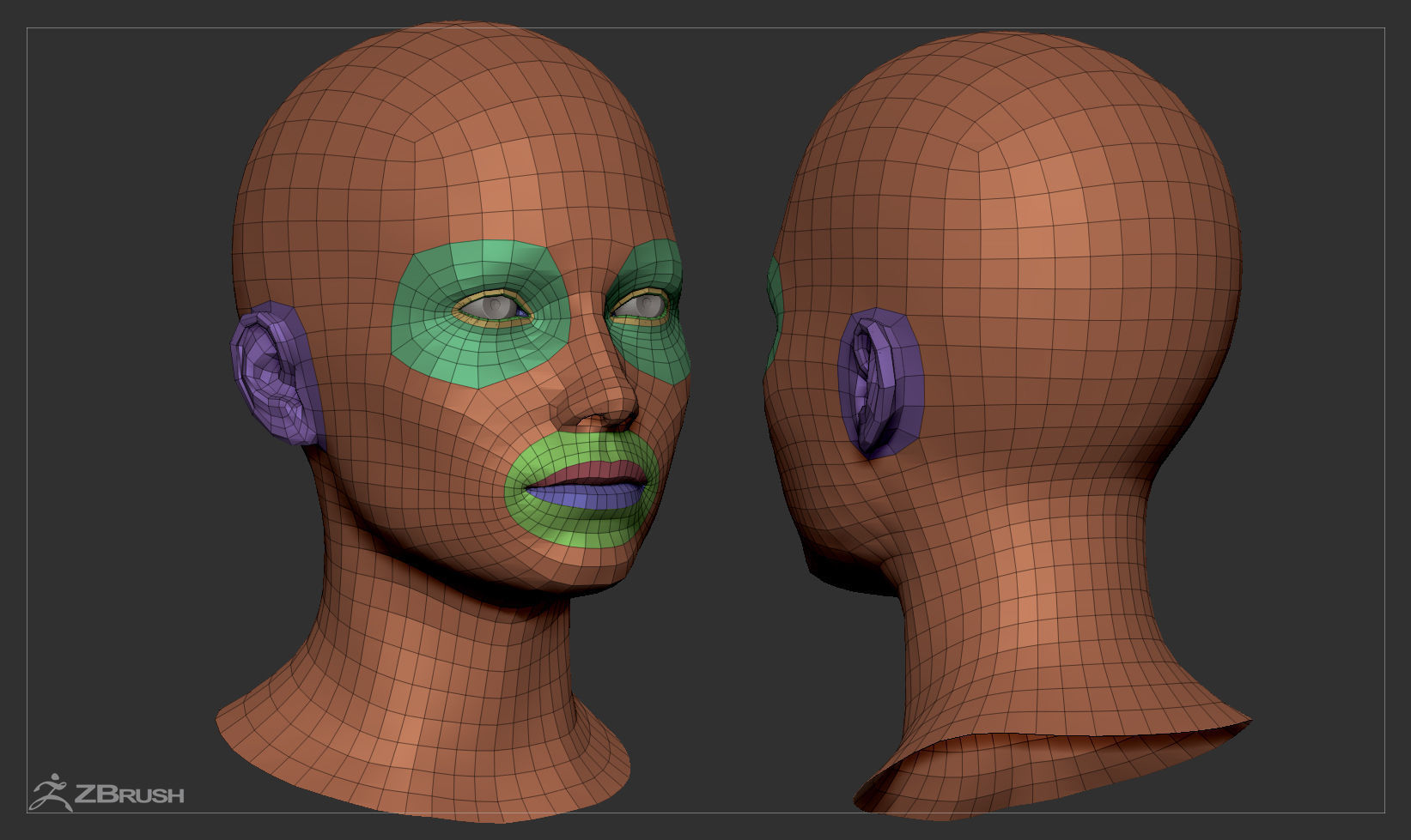 Average Caucasian Female Head Basemesh 3D model_7